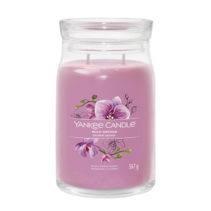 Wild Orchid